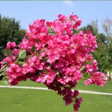 Реалистичные пластиковые цветочные композиции для гостиной, свадебные цветы