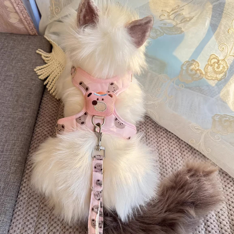 猫咪牵引绳防挣脱外出专用猫绳子宠物胸背带可调节夏季透气溜猫绳,淘宝优惠券,粉丝福利购,淘宝优惠卷
