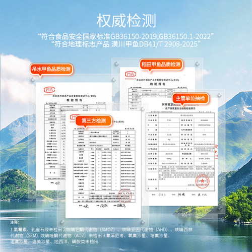 [甲鱼鲜活]生态野养山塘王八水鱼团鱼现抓现发活体甲鱼顺丰包邮 - 图2