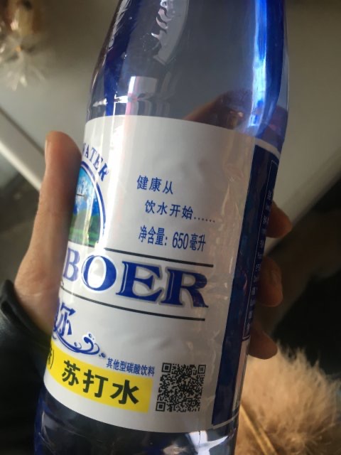 新疆蓝博尔苏打水650ml*12瓶原味苏打水气泡水无糖汽水碳酸饮料-图2