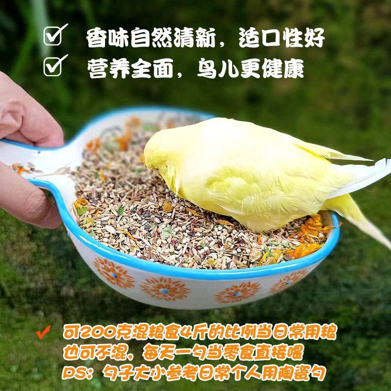 塞尔瓦天然草本种子粮玄凤牡丹虎皮鹦鹉文鸟零食包补充营养鸟食料,淘宝优惠券,粉丝福利购,淘宝优惠卷