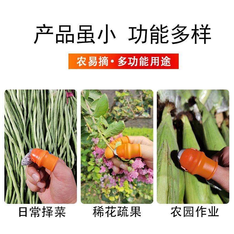 拇指刀摘花椒采摘器摘菜掐尖器农易摘樱桃豆角辣椒草莓铁指甲,淘宝优惠券,粉丝福利购,淘宝优惠卷