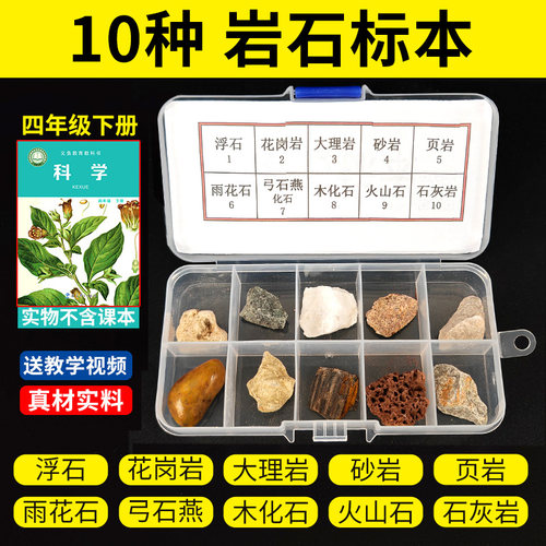 四年级科学下册小学生岩石标本与矿物矿石盒课本配套实验材料套装 - 图2