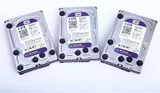 Мониторинг специального WD/Western Data WD10PURX 1TB Purple Purple 64M Enterprise Monitoring Video