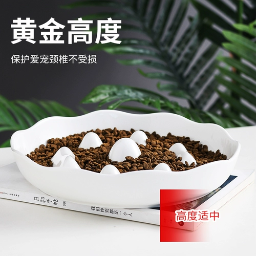 Pet Pet Mlow Food Bow