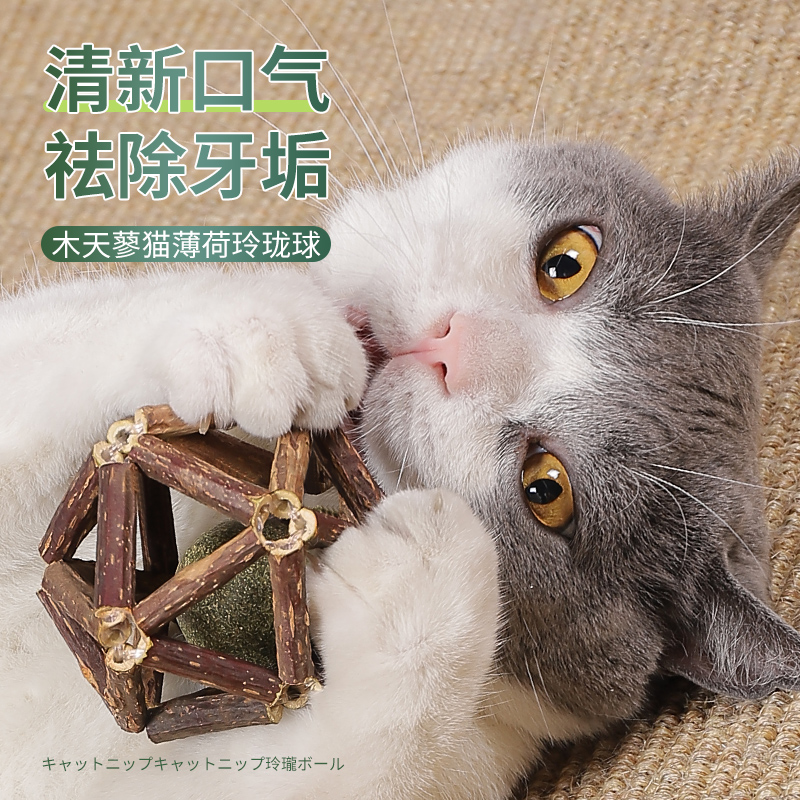 猫玩具磨牙棒木天蓼猫薄荷玲珑球逗猫棒耐咬自嗨解闷神器猫咪用品 - 图1