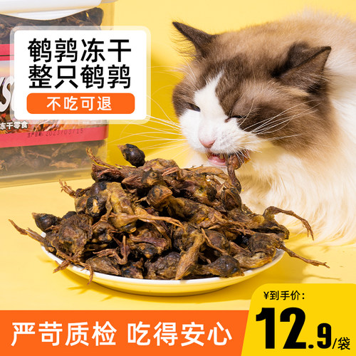 鹌鹑冻干猫零食猫咪零食增肥发腮生骨肉磨牙补钙宠物狗狗成幼猫粮-图3