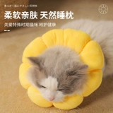 Кошачья воротник Элизабет Кружные Собаки противника, мягкая голова, набор элийлиса белый позорный суп