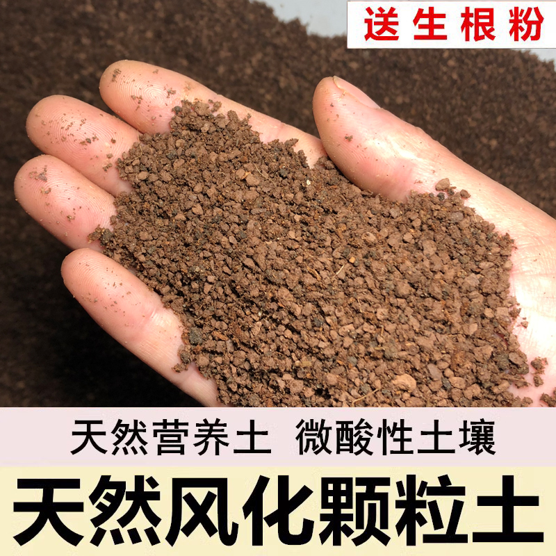 三角梅土专用土风化土颗粒土沙质红土酸性盆景土盆栽种植土营养土 - 图0