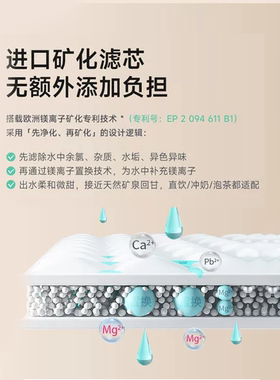 德国水丽BWT直饮家用净水壶