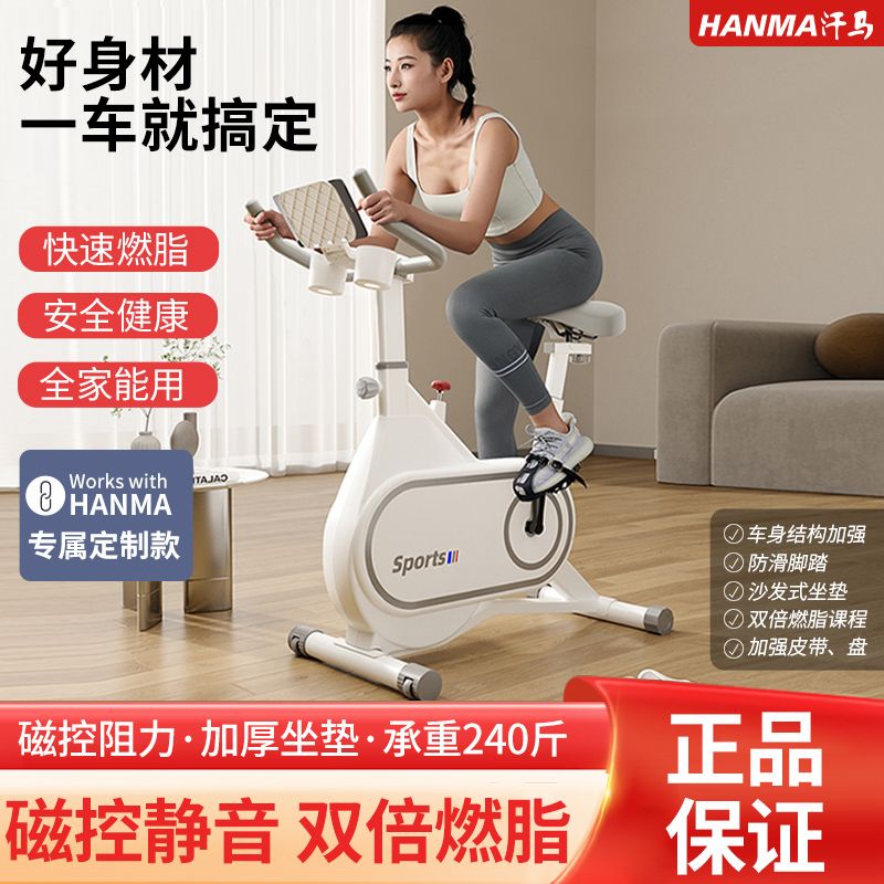 Hanma spinning home magnetic control