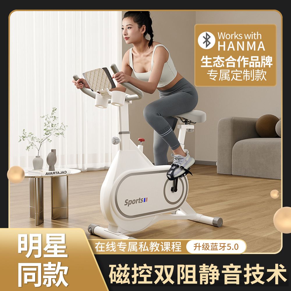Hanma spinning home magnetic control