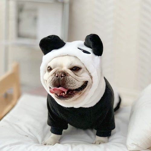 FA Dou Dou Do Dog Dog Dog с четырьмя яростными пандами Переплата сгустится, и анти -переживание маленьких средних собак зимних домашних животных осень и зима