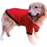 Золотой ретривер Big Dog Clothing Новый год осени и зимний латино -зимний Новый год.