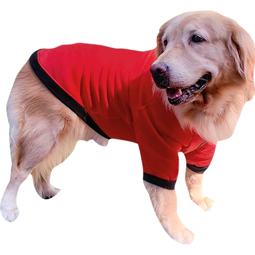 Золотой ретривер Big Dog Clothing Новый год осени и зимний латино -зимний Новый год.