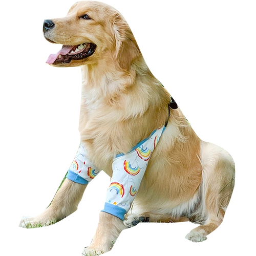 Гвардейские охранники для домашних коленок