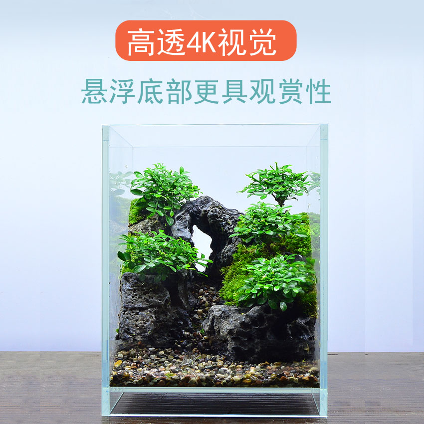 ADA同款悬空悬浮设计桌面生态超白缸坨草水草造景低成本视觉更棒 - 图0