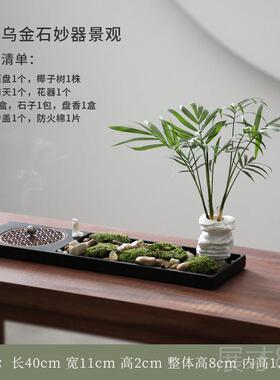 正品文竹苔藓水培微景观菖蒲盆景绿植乌金桌石公室办饰面造景摆件