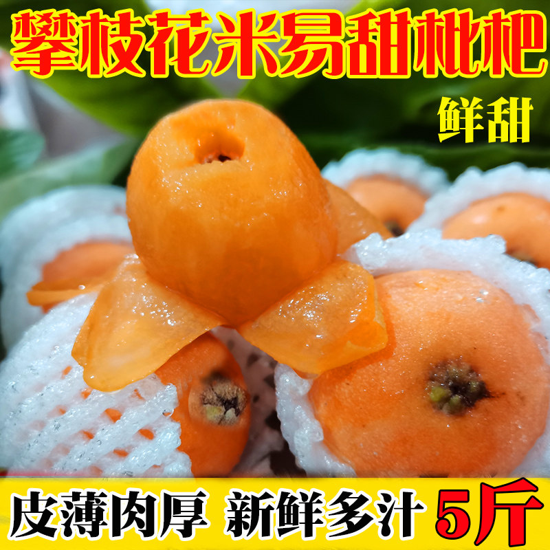 四川攀枝花米易枇杷特级大果琵琶新鲜水果当季早钟枇杷非云霄枇杷