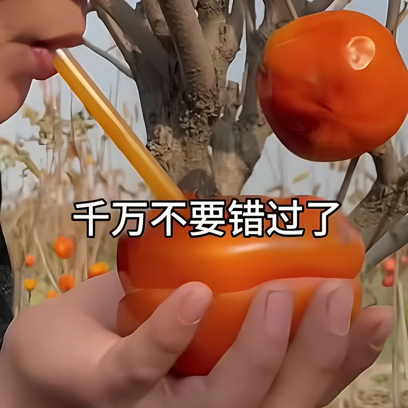 东北大冻柿子磨盘柿子软糯蜜甜多汁保温大柿子新鲜应季水果年货,淘宝优惠券,粉丝福利购,淘宝优惠卷