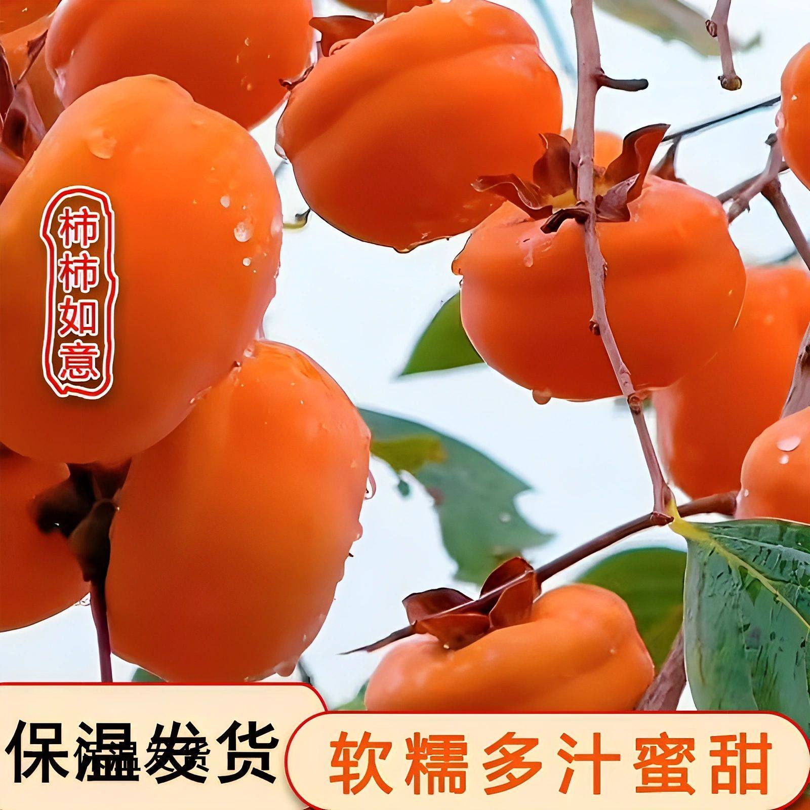 东北大冻柿子磨盘柿子软糯蜜甜多汁保温大柿子新鲜应季水果年货,淘宝优惠券,粉丝福利购,淘宝优惠卷