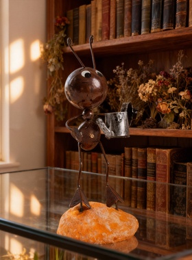 田园风铁艺蚂蚁浇水壶桌面摆件