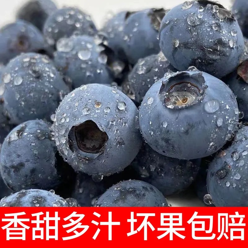 新鲜蓝莓当季水果蓝莓鲜果时令甜澄思蓝莓孕妇大果云南抚仙湖包邮 - 图0