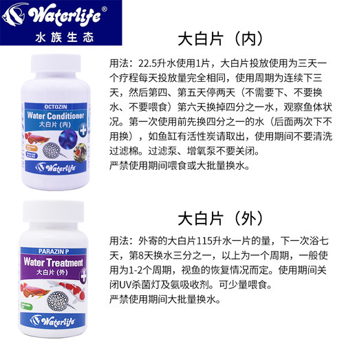大白片罗汉鹦鹉七彩头洞龙鱼金鱼外内大白片寄Waterlife正品 - 图0
