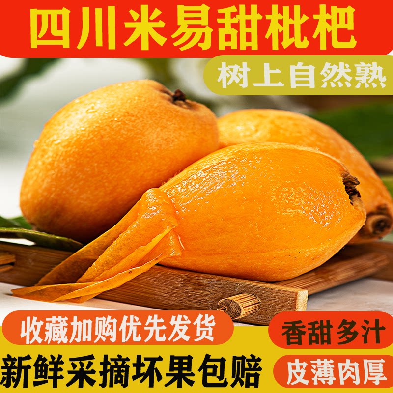 攀枝花米易枇杷新鲜大果5斤四川当季现摘水果整箱包邮农家甜琵琶