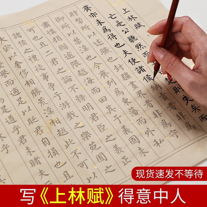 纸墨子 新人首单立减十元 22年3月 淘宝海外