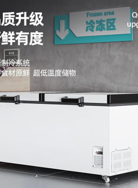 华美零下65℃铜管速冻商用冰柜