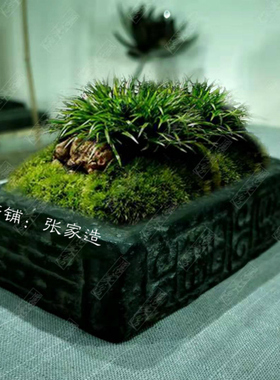 张家仿古汉砖苔藓中式禅意文竹