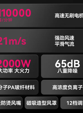 火之凤吹风机M2理发店发型师家庭专用大功率大风速干高速无刷风筒