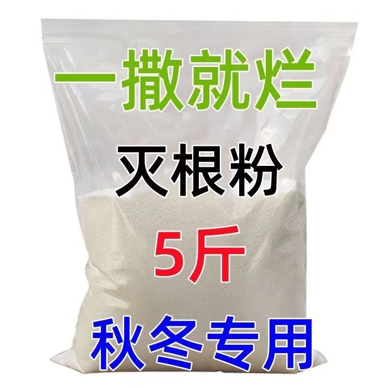 除草药烂根粉专用杀竹灭根粉灭树粉烂树根草木连根除腐蚀树根死亡 - 图0