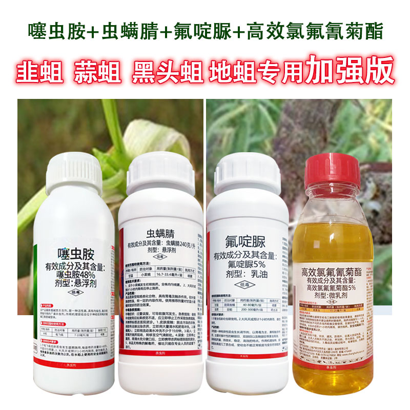 地蛆黑头蛆专用药噻虫胺氟啶脲虫螨腈组合地蛆药韭菜葱蒜韭蛆蒜蛆 - 图2