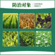 Lier Youmeicai contains amino acid water-soluble fertilizer for grapes, strawberries, tea and vegetables, universal water-soluble fertilizer for foliar fertilizers