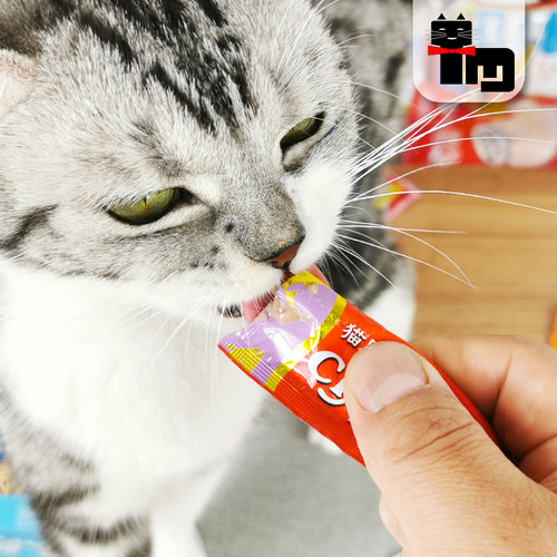土猫宠物 伊纳宝猫零食 ciao啾噜妙好4支装 成幼猫咪液体肉条猫条 - 图1