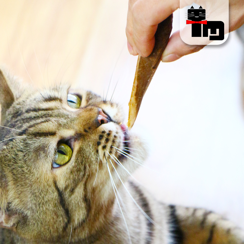 土猫宠物 伊纳宝CIAO妙好 烤鲣鱼条成幼猫零食15g 鱼肉干猫零食 - 图2