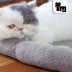 Tu Cat Pet Baiy Smarty kat Short chải bông cọc lông thú cưng mèo kennel mat ấm áp và mềm mại - Cat / Dog hàng ngày Neccessities Cat / Dog hàng ngày Neccessities