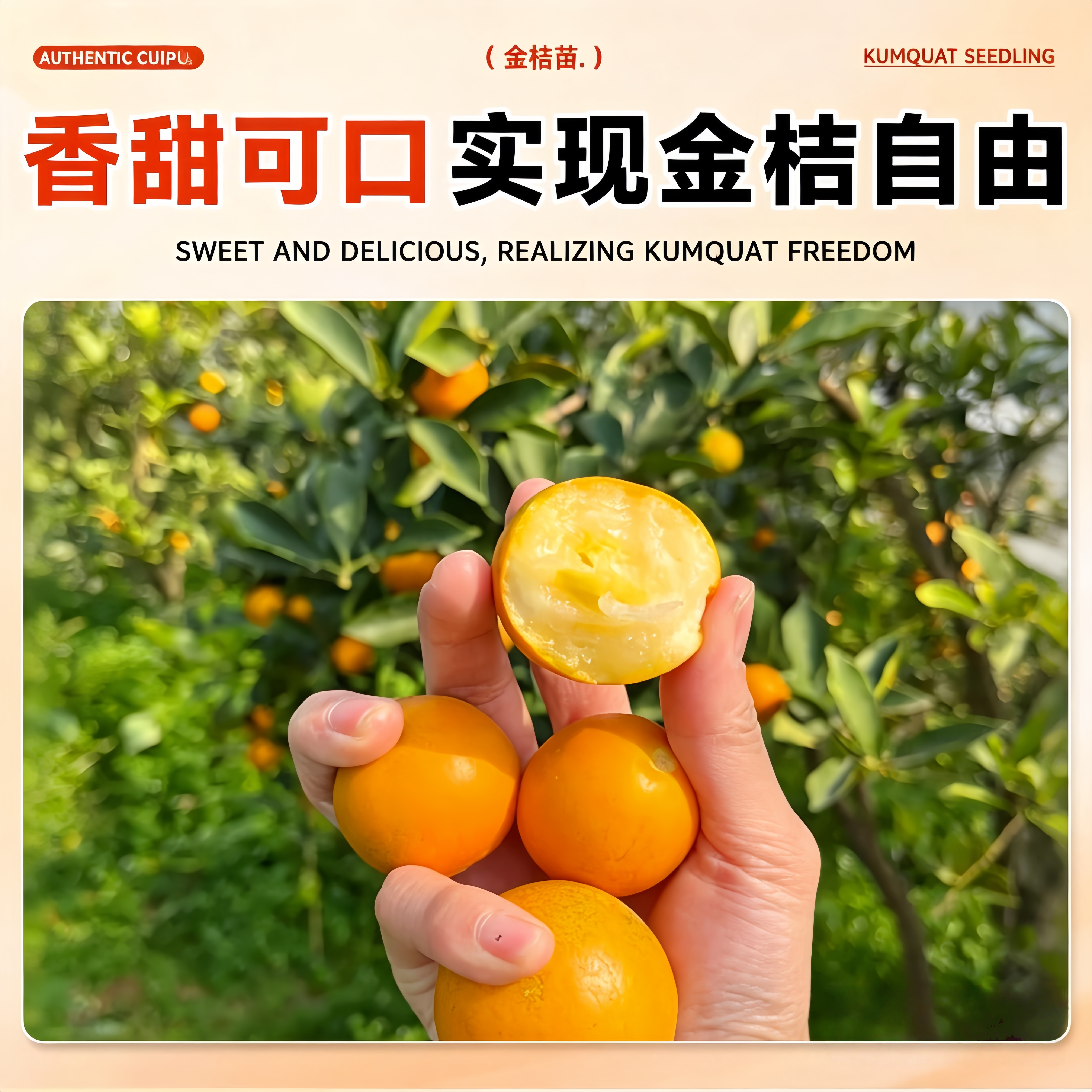 图5