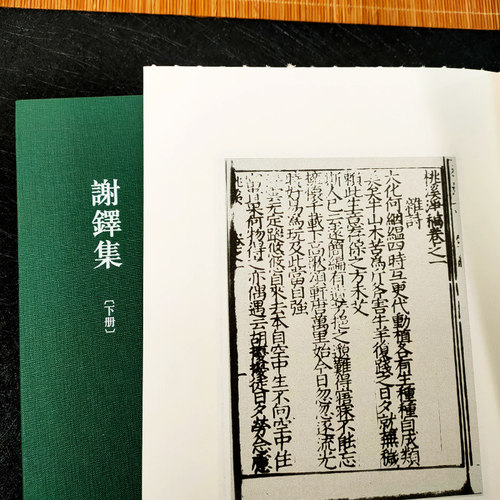 浙江文丛：谢铎集上下全套2册精装竖版繁体 中国明代谢铎著诗词文学作品文集文史汇总学习研究 国学古籍注释学习阅读正版图书籍 - 图0