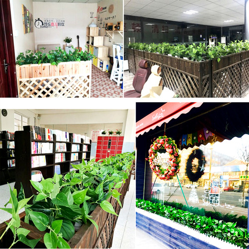 仿真绿萝盆栽室内仿真植物塑料小盆栽装饰绿植仿真花草假植物绿萝 - 图2