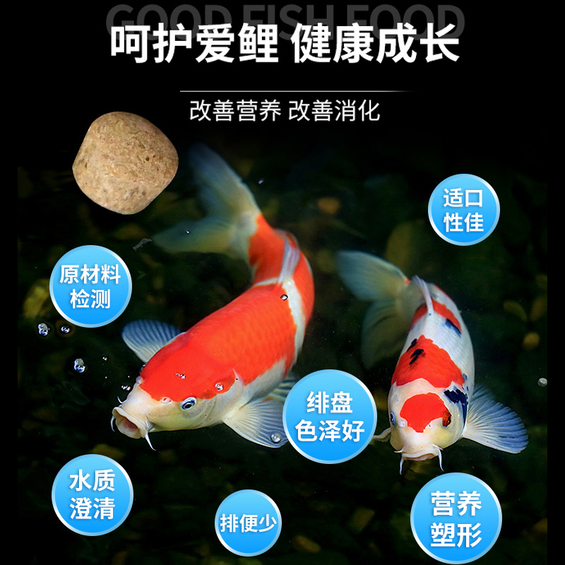 海豚锦鲤鱼饲料增体增色专用鱼食育成金鱼小颗粒水族观赏鱼粮上浮 - 图1