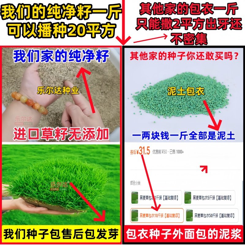 高产牧草冬牧70黑麦草种籽耐寒养殖家畜四季常青多年生牛羊鱼草籽,淘宝优惠券,粉丝福利购,淘宝优惠卷