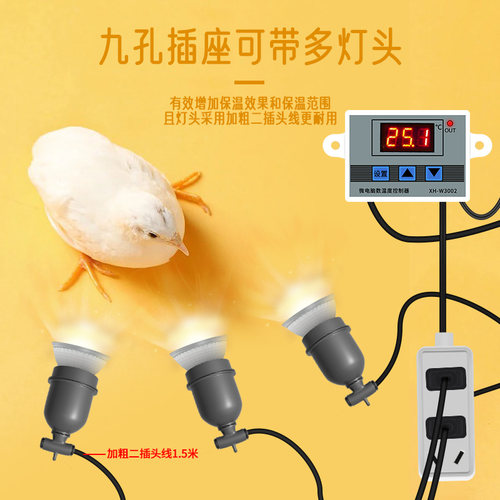 节能仔猪保温箱温控器恒温孵化箱开关芦丁鸡宠物鹌鹑乌龟取暖灯泡 - 图0