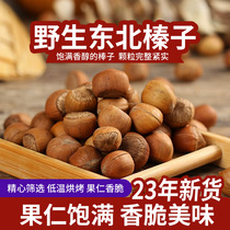 2023 Northeast special production wild hazelnut Liaoning Tieling wild hand clapping and stir-fry cooked opening large mountain hazelnut nuts
