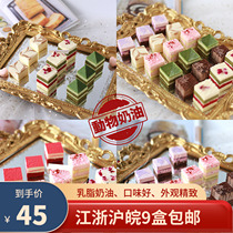 Simple House Coffee Hall Small Square Tea Break Cake Western-style Refreshment Conference Sweet hotel Lower afternoon tea Self catering 30 grains