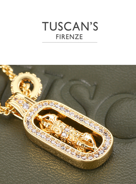 TUSCAN'S 铜合金项链镀金轻奢气质镶钻小众金色时尚项链
