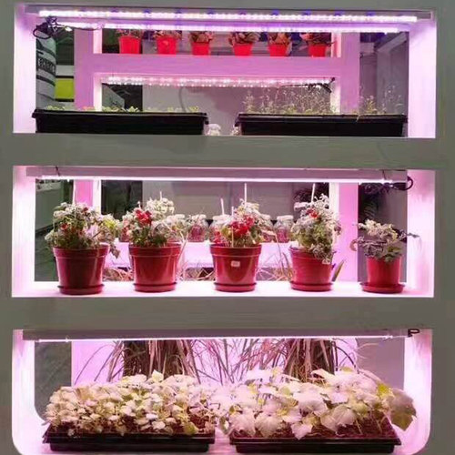 全光谱LED植物生长灯多肉补光灯室内花卉培育苗防徒上色家用灯管 - 图2