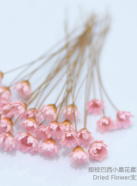 干花包短杆小星花星菊手工材料包
